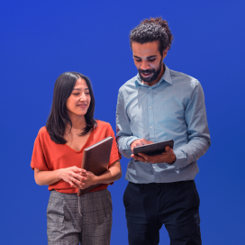 Accessibility audits