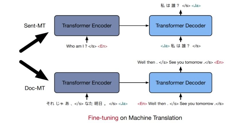 Fine tuning on Machine Translation diagram 2