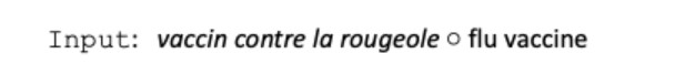 Input: vaccin contre la rougeole / flu vaccine