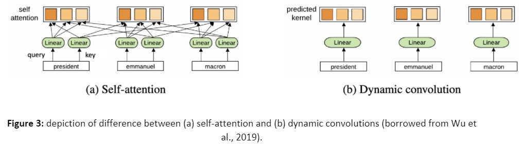 Figure 3: depiction of difference between (a) self-attention and (b) dynamic convolutions (borrowed from Wu et al., 2019). 