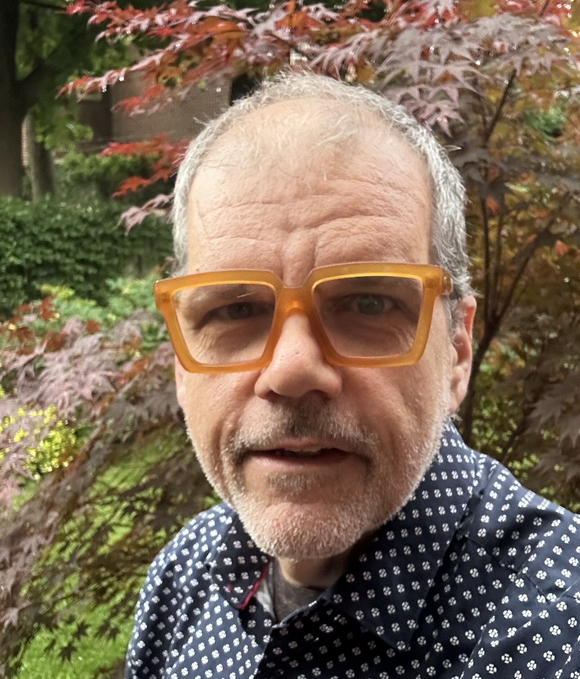 Todd Georgieff