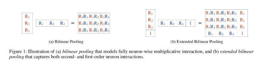 bilinear and extended bilinear pooling