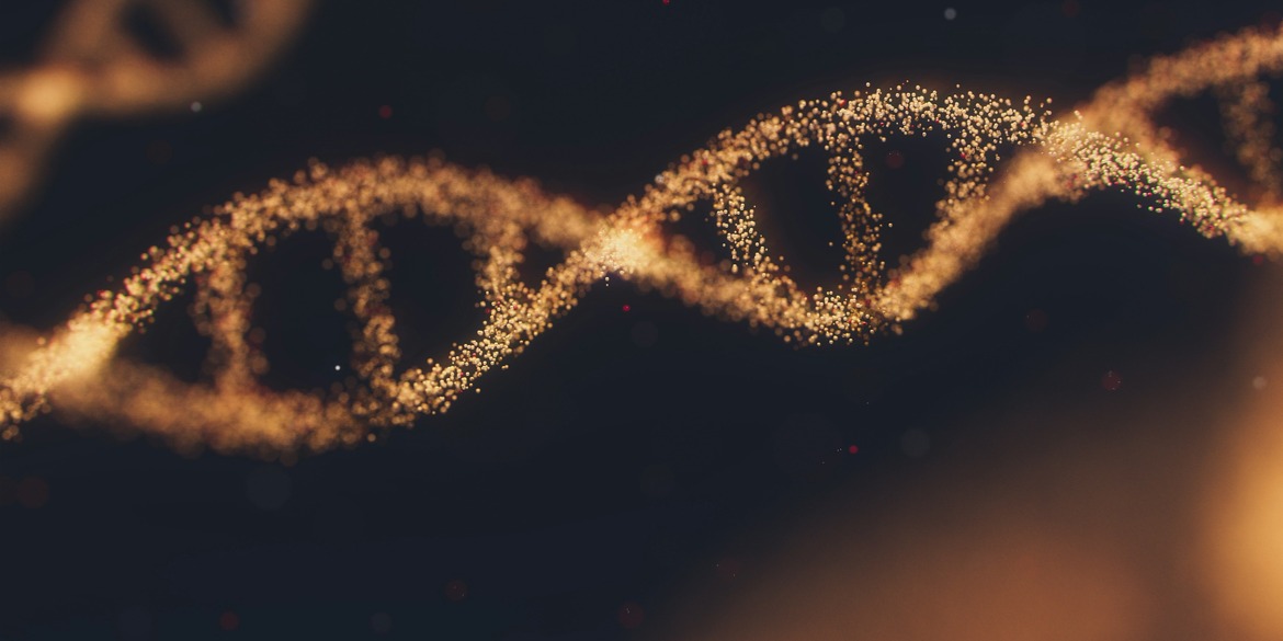 Close-up photo of dna sting