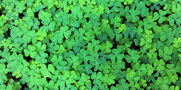 Fun Facts About St. Patrick’s Day