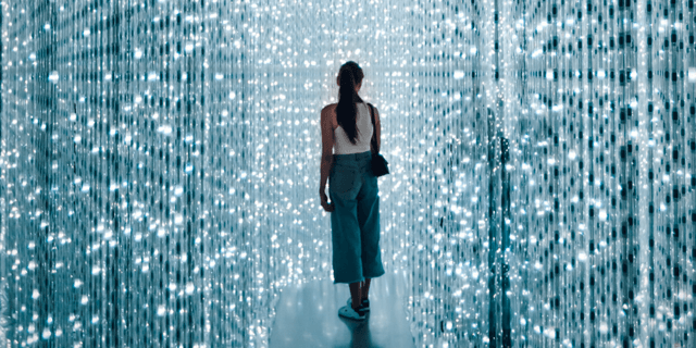 SDL - Brand Management