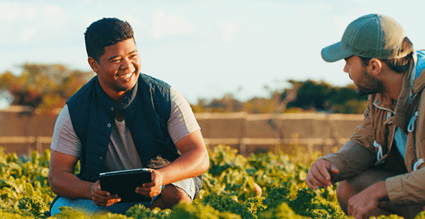 Case study: Syngenta