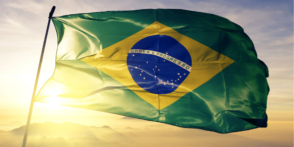 Understanding the Brazilian Consumer