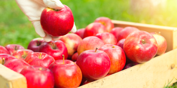 Why Linguistic Quality Is Not an LSP Differentiator