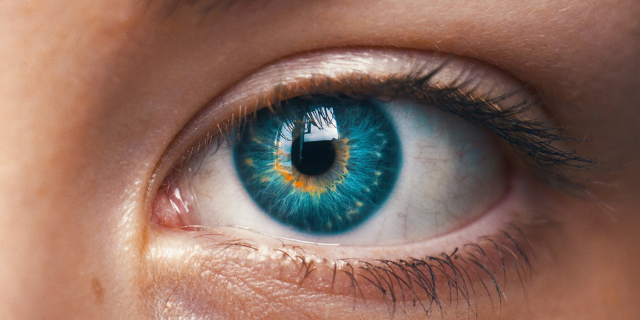 XPP, XML Publisher for Professionals - RWS