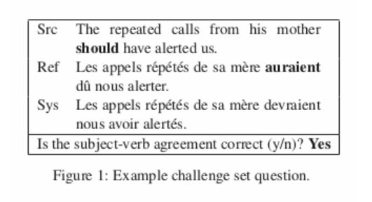 NMT 104 English French Challenge set questions