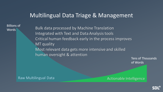 Multilingual Data Triage